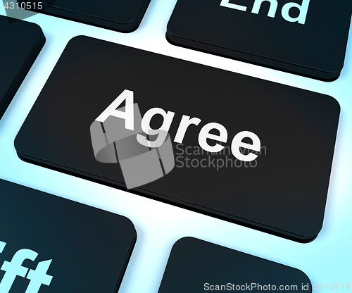 Image of Agree Key For Online Poll Or Voting