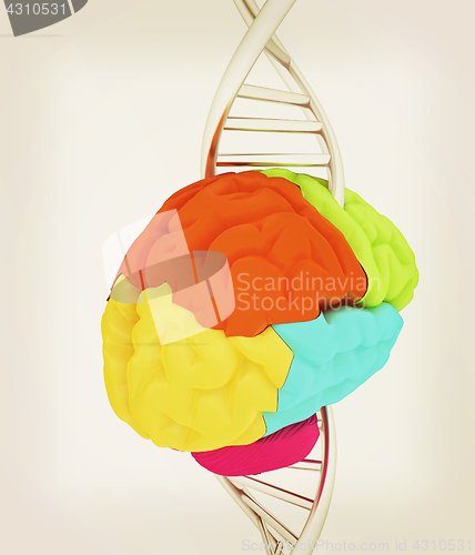 Image of Brain and dna. 3d illustration. Vintage style.