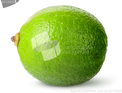 Image of One whole ripe lime