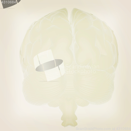 Image of 3D illustration of human brain. Vintage style.