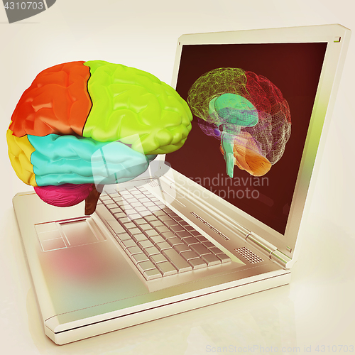 Image of creative three-dimensional model of real human brain and scan on