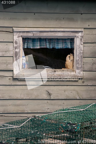 Image of Peggy's Cove