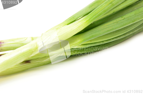 Image of Fresh spring onions