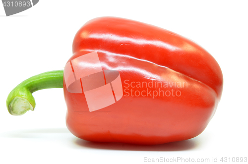 Image of Single red pepper
