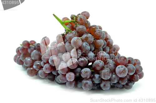 Image of Gourmet champagne grapes