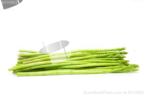 Image of Bundle of green asparagus shoots