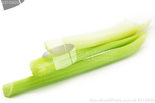 Image of Fresh green celery