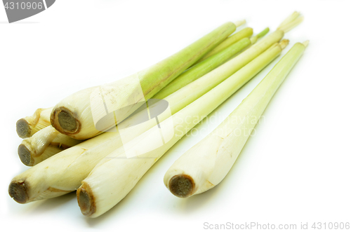 Image of Bundle of lemon grass