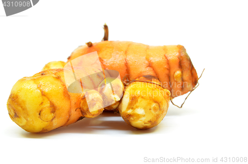 Image of Turmeric rhizome on white background