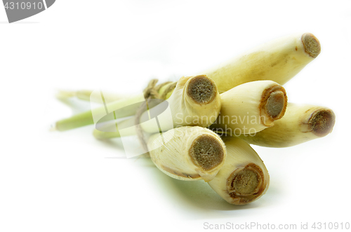 Image of Bundle of lemon grass