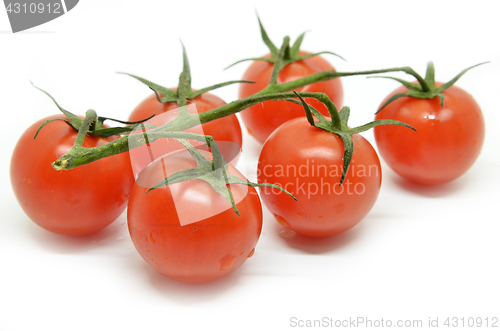 Image of Red cherry tomato