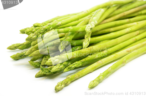 Image of Bundle of green asparagus shoots