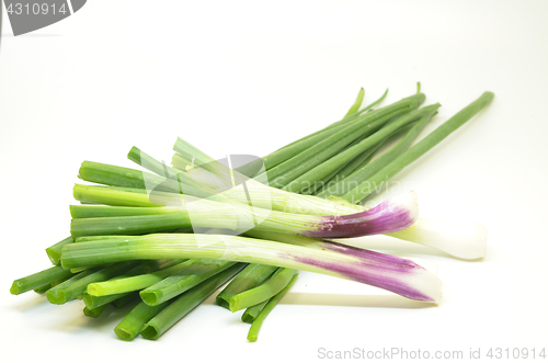 Image of Fresh spring onions