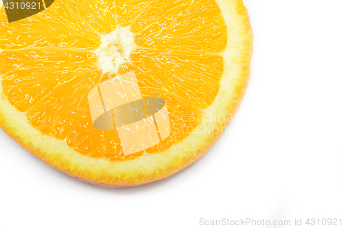 Image of Isolated oranges fruits