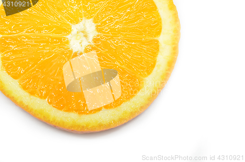 Image of Isolated oranges fruits