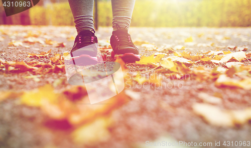 Image of close up of young woman running in autumn park