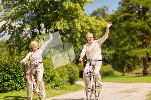 Image of happy senior couple riding bicycles at park