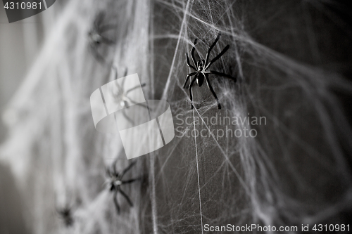 Image of halloween decoration of black toy spiders on web