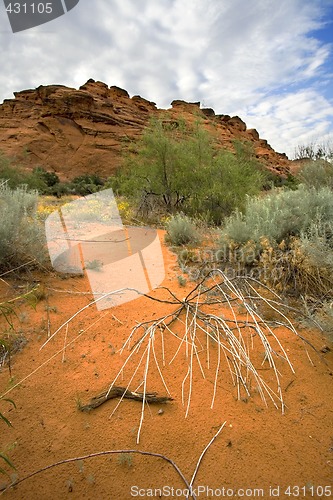 Image of Looking into the Redrocks in Snow Canyon - Utah