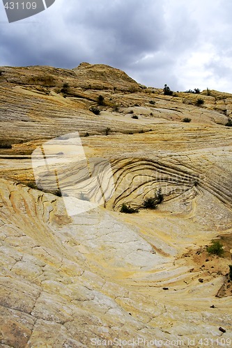 Image of Looking up the Sandstones in Snow Canyon - Utah