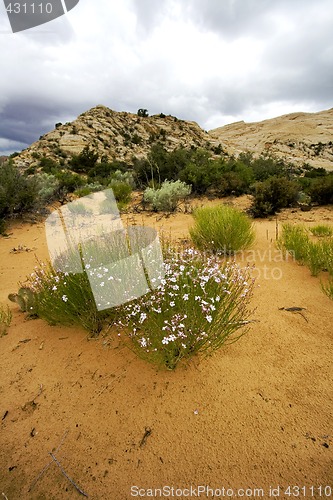 Image of Snow Canyon - Utah