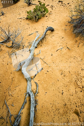 Image of Path to Sand Dunes in Snow Canyon - Utah