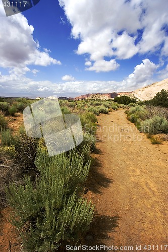 Image of Path to the Redrock Mountains in Snow Canyon - Utah