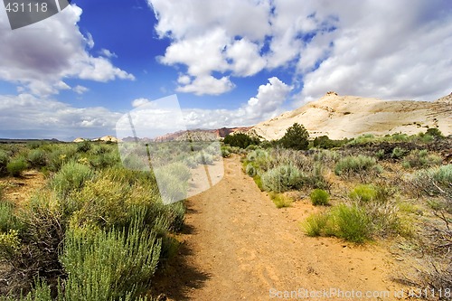 Image of Path to the Redrock Mountains in Snow Canyon - Utah