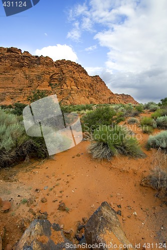 Image of Snow Canyon - Utah