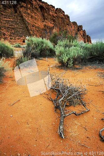 Image of Snow Canyon - Utah