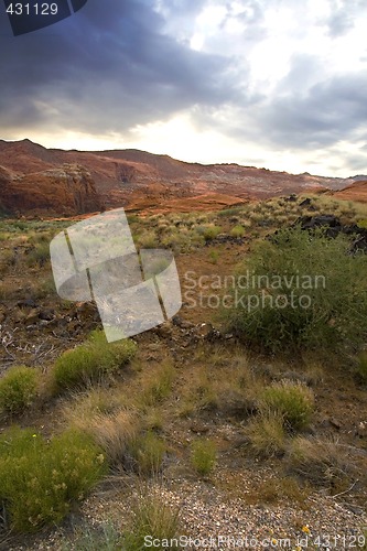 Image of Snow Canyon - Utah