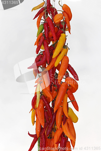 Image of Chili pepper