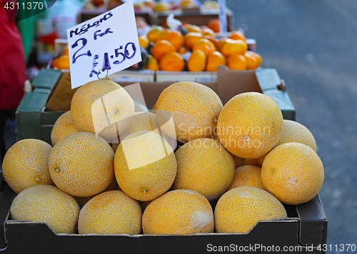 Image of Muskmelons