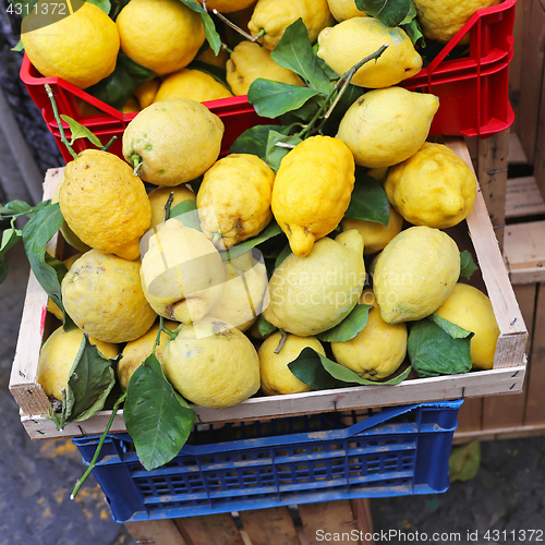 Image of Lemons