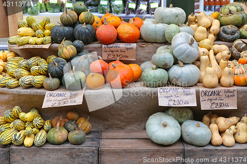 Image of Squashes and pumpkins
