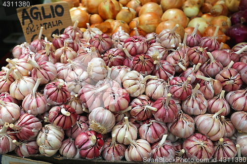 Image of Garlic