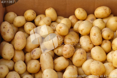 Image of Potato