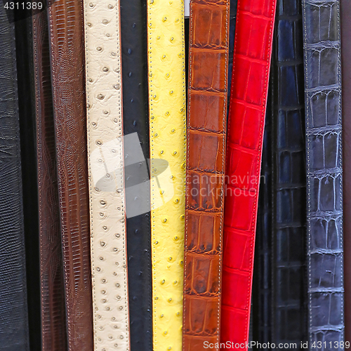 Image of Belts