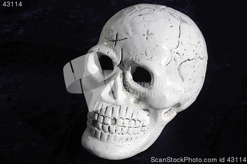 Image of glass skull against black background