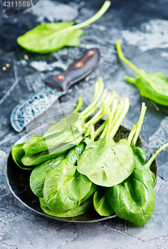 Image of fresh spinach