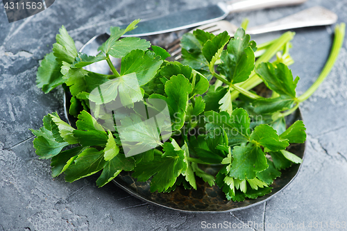 Image of fresh celery