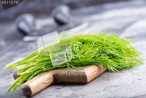 Image of fresh dill