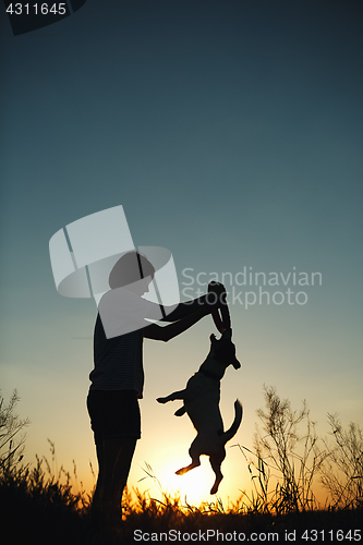 Image of Silhouette of woman playing with a dog.