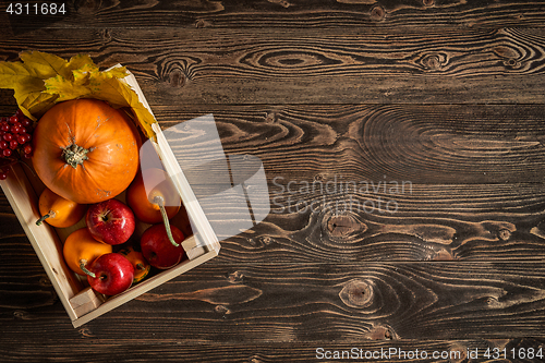 Image of Autumn fruits and vegetables