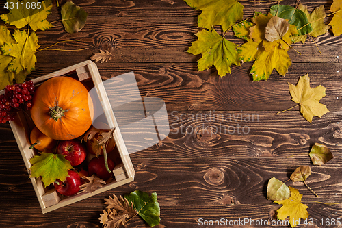 Image of Autumn fruits and vegetables