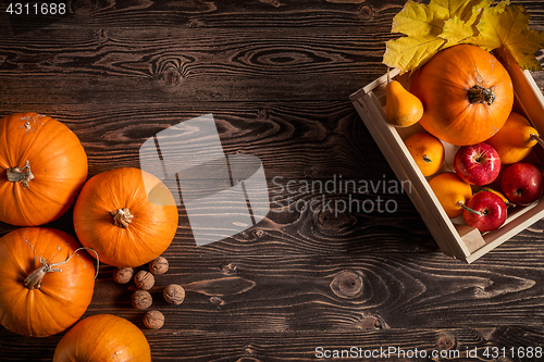 Image of Autumn fruits and vegetables