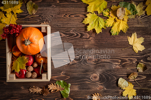 Image of Autumn fruits and vegetables