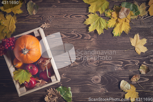 Image of Autumn fruits and vegetables