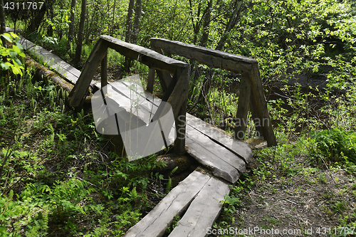 Image of small wooden bridge in the forest