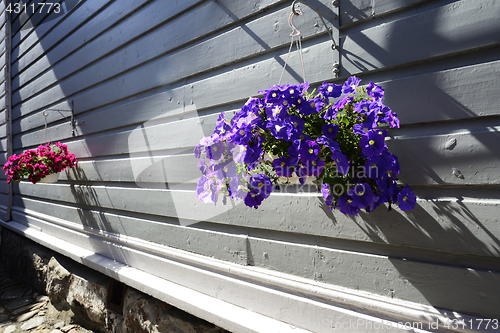 Image of flowers in pots hanging on the wall 